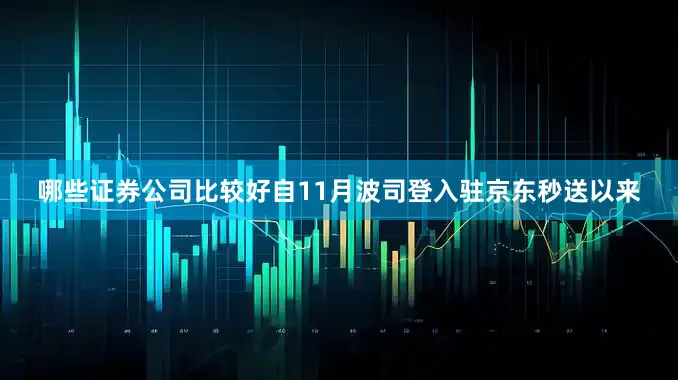 哪些证券公司比较好自11月波司登入驻京东秒送以来